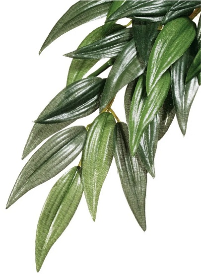 Тропическое растение EX Jungle Plants Рускус, 70х20см от магазина ExoLife