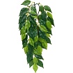 Тропическое растение EX Jungle Plants Ficus, 45*20 см