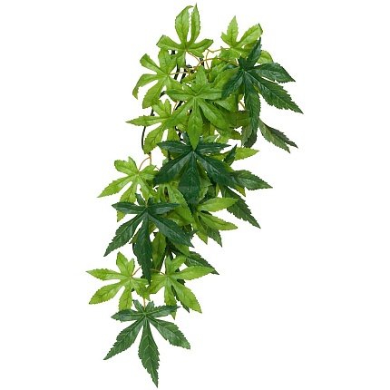 Тропическое растение EX Jungle Plants Abuliton, 55*20 см от магазина ExoLife