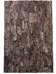 Натуральный фон, кора, "Rough", 60*30см
