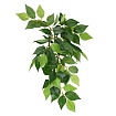 Тропическое растение EX Jungle Plants Ficus, 55*25 см