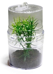 Террариум Инсектариум "Critter Box", 6х11 см
