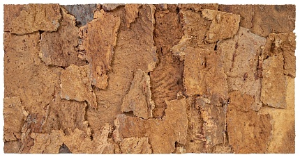Натуральный фон, пустынный, "Desert", 60*30 см от магазина ExoLife